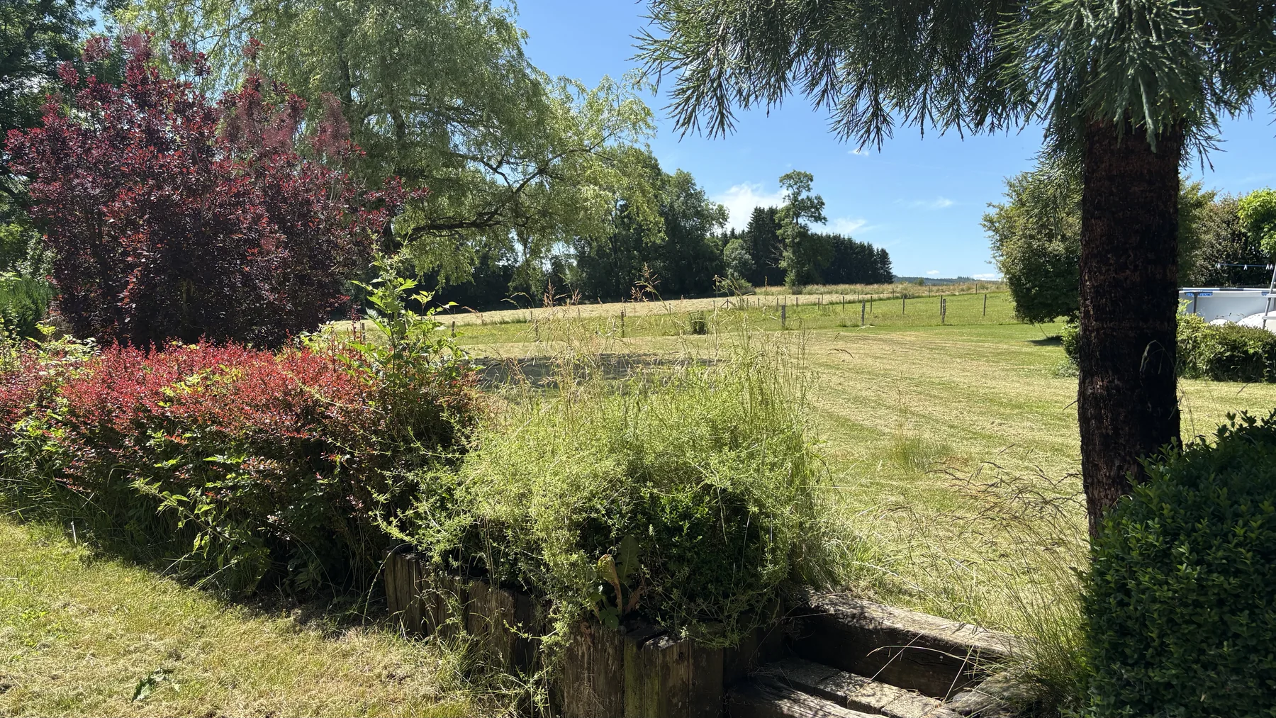 La vue depuis le jardin vers les prés